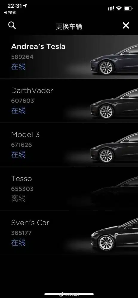 Chinese owner says European owners' vehicles appear in his Tesla app