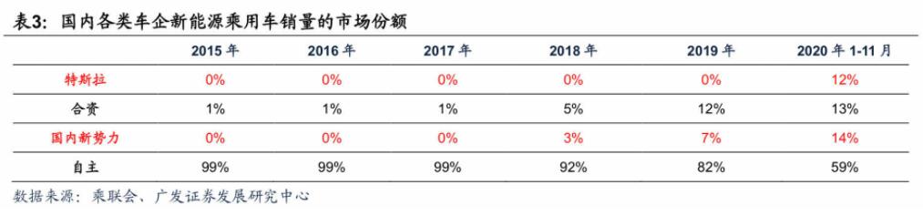 China's emerging car makers overtake Tesla in local market share