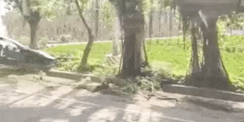 Tesla Model 3 burns after hitting tree in latest accident