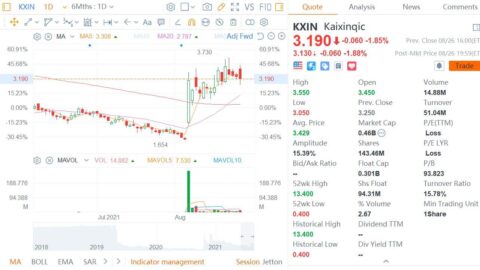 Kaixin Auto to acquire EV maker to speed up its car-making ambitions