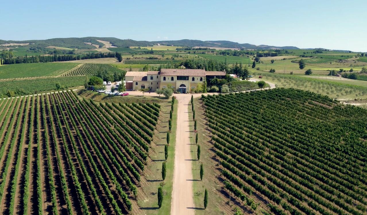 Nio now has an exclusive vineyard in France