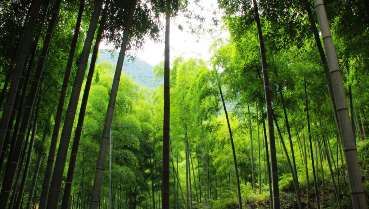 Nio opens new charging line under Power Up Plan