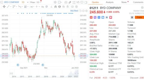 UBS upgrades rating on BYD to 'Buy' from 'Sell', raises price target by 122%