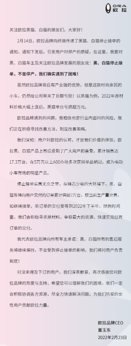 Ora CEO says lower-priced model brings losses of over <img width=