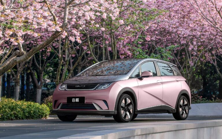 China unveils policy to boost consumption of NEVs in rural areas