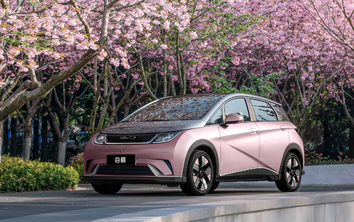 China unveils policy to boost consumption of NEVs in rural areas