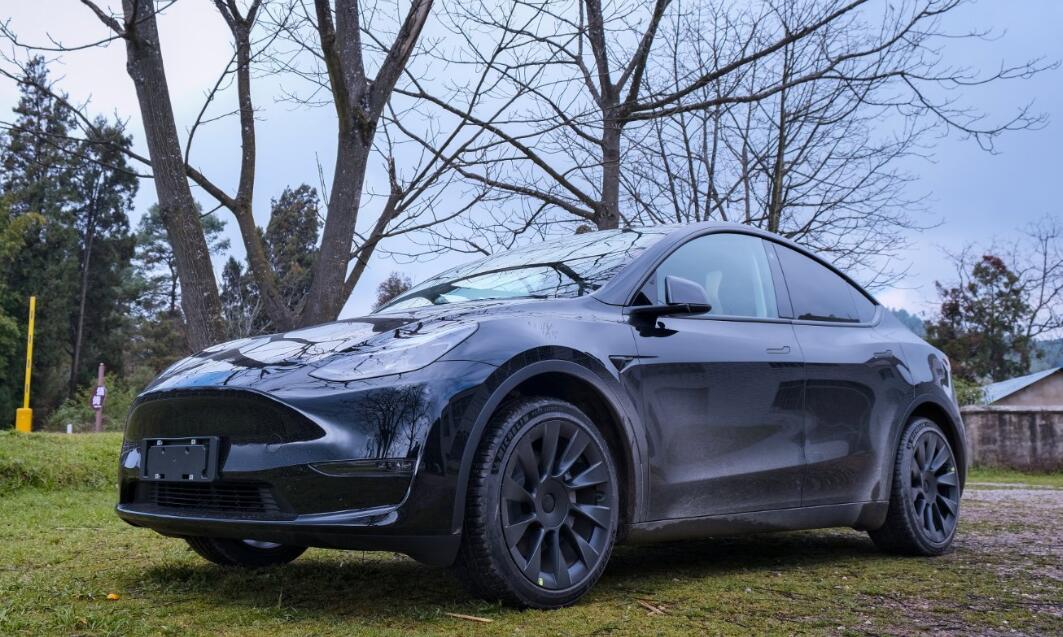 BYD reportedly to supply batteries for Tesla Model Y as early as next year