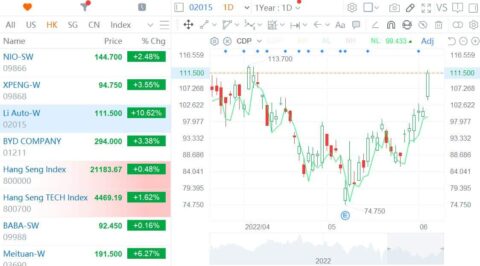 China EV trio rises in Hong Kong as new product launches near