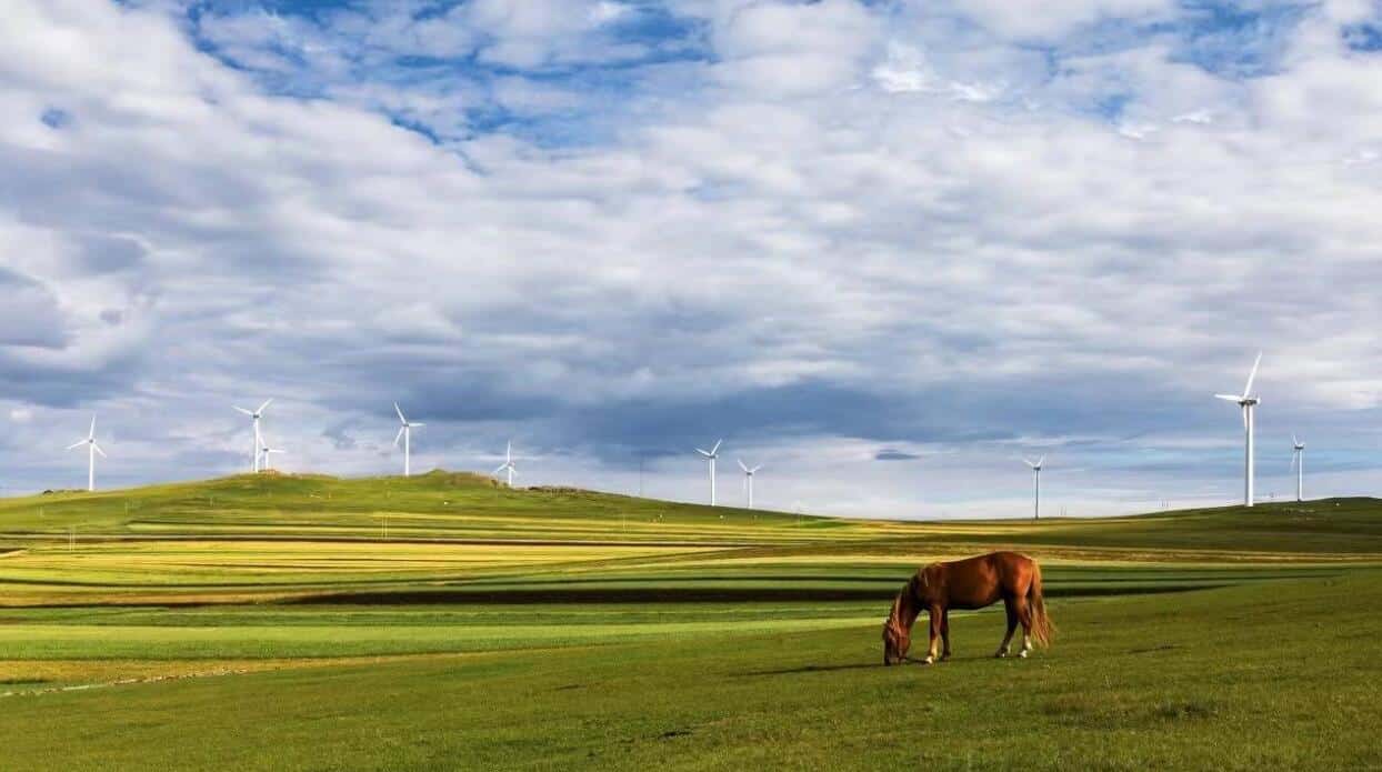 Nio builds power supply network connecting Beijing to grasslands in North China
