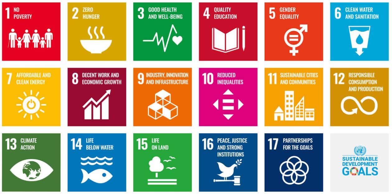 UN development arm becomes Nio's partner on Clean Parks initiative