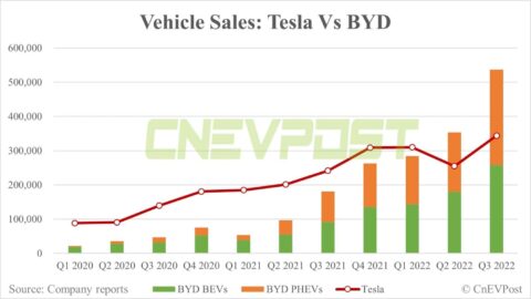 Tesla's only challenger is BYD, says US EV maker's former board member