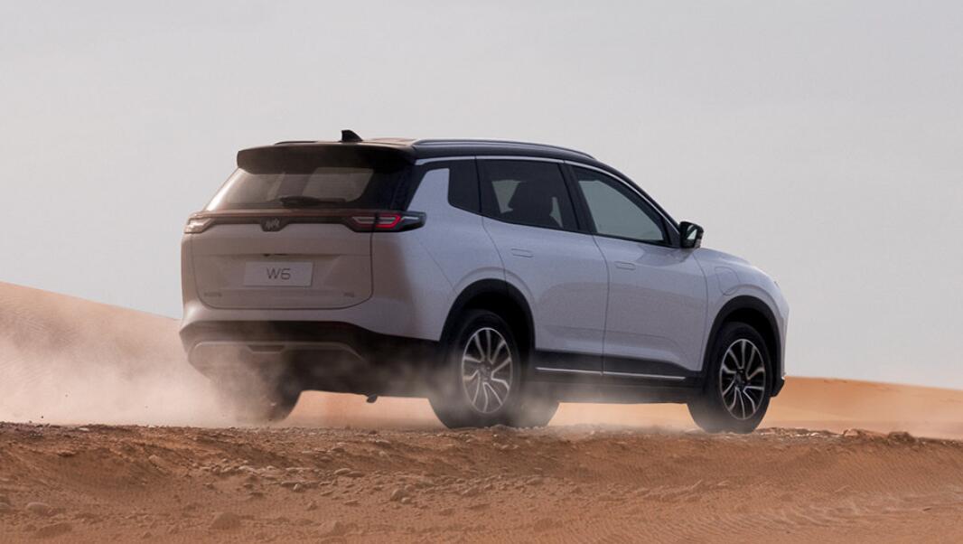 WM Motor plans backdoor listing in HK to solve financial woes, report says