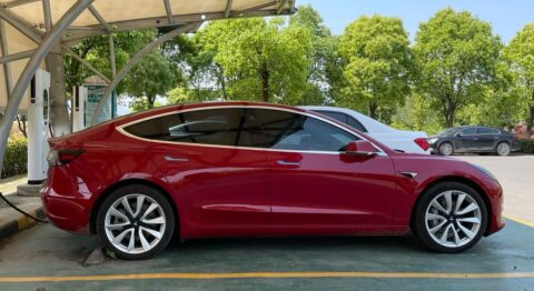 Tesla adjusting battery pack production strategy at Shanghai plant amid model changeover, report says