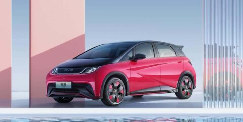 BYD sees 500,000th Dolphin roll off line, launches 2 new commemorative versions