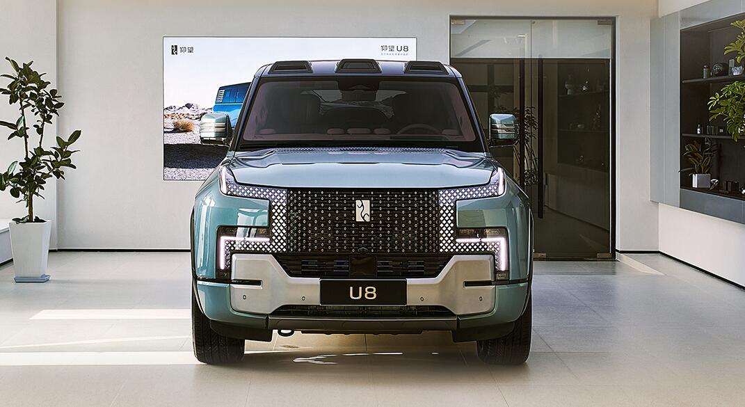 BYD's premium Yangwang brand opens 1st batch of 22 stores