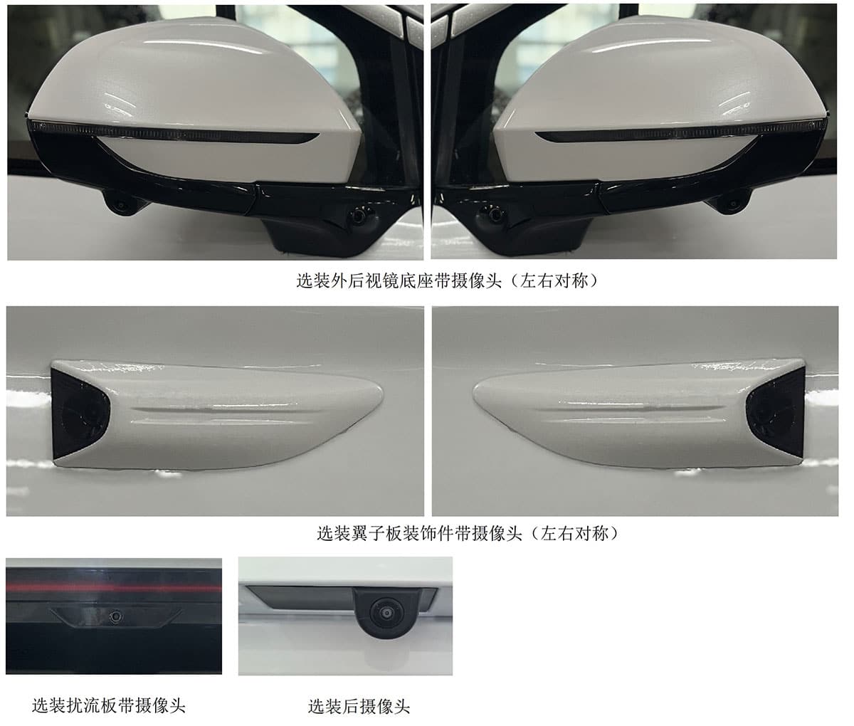 Regulatory filing: BYD files for Xia MPV