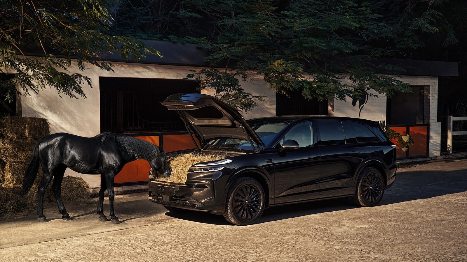 Nio Onvo to showcase L90 Black Knight Edition at 2025 Guangzhou auto show