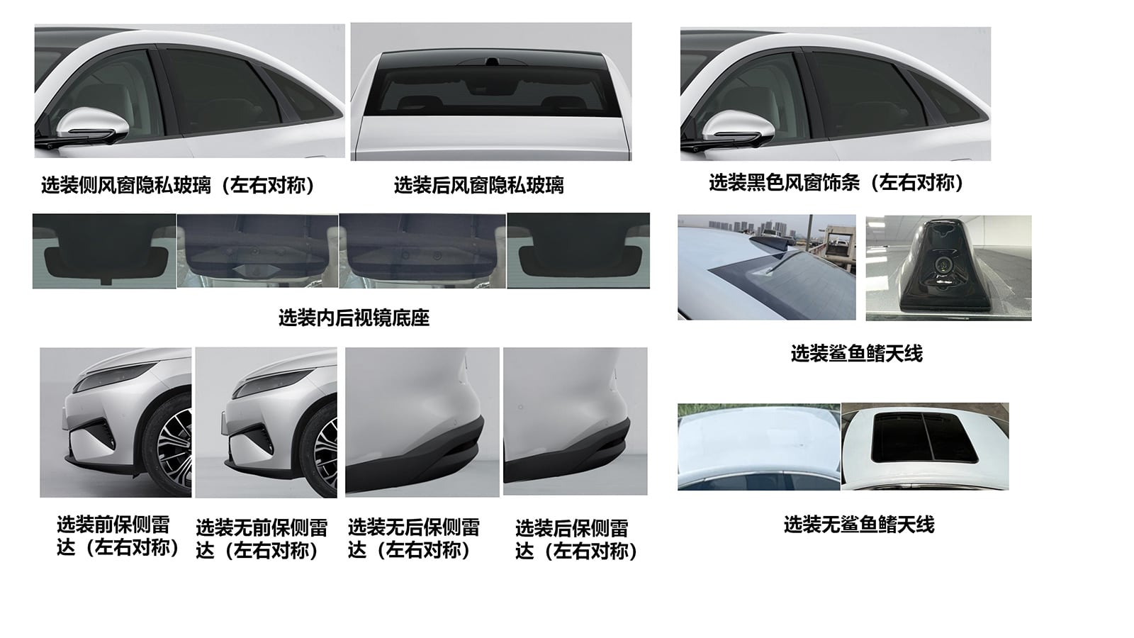 BYD files for Qin Max electric sedan as latest addition to Qin family